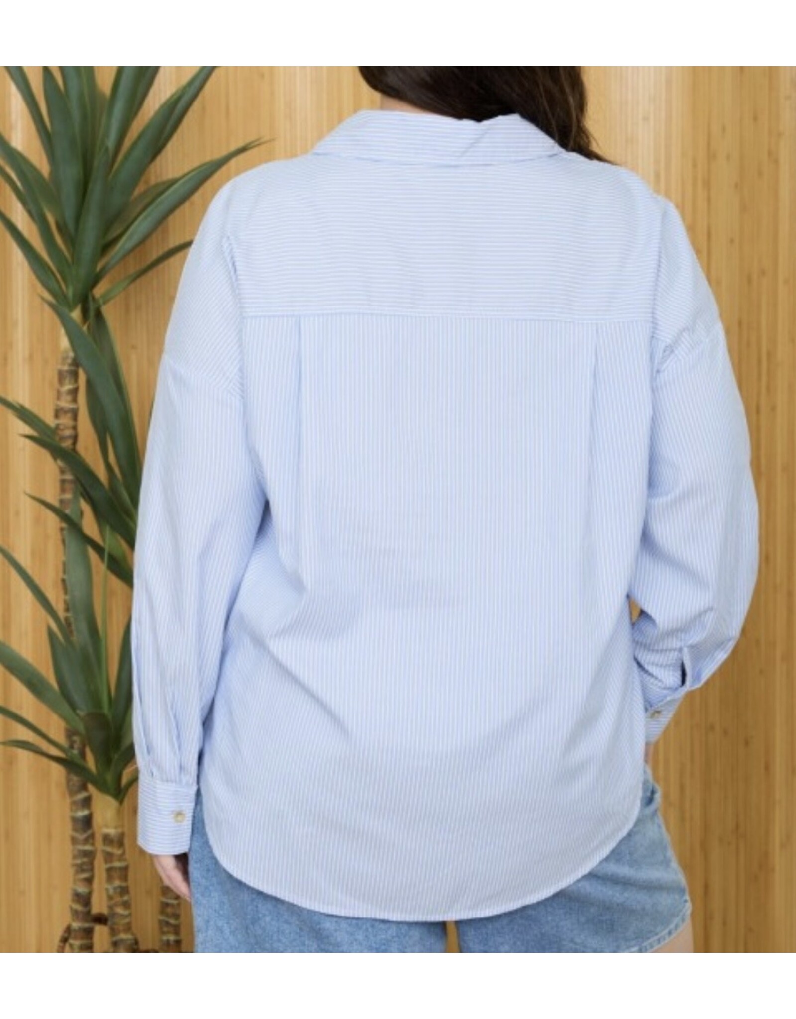 Plus Stripe Long Slv Collared Shirt