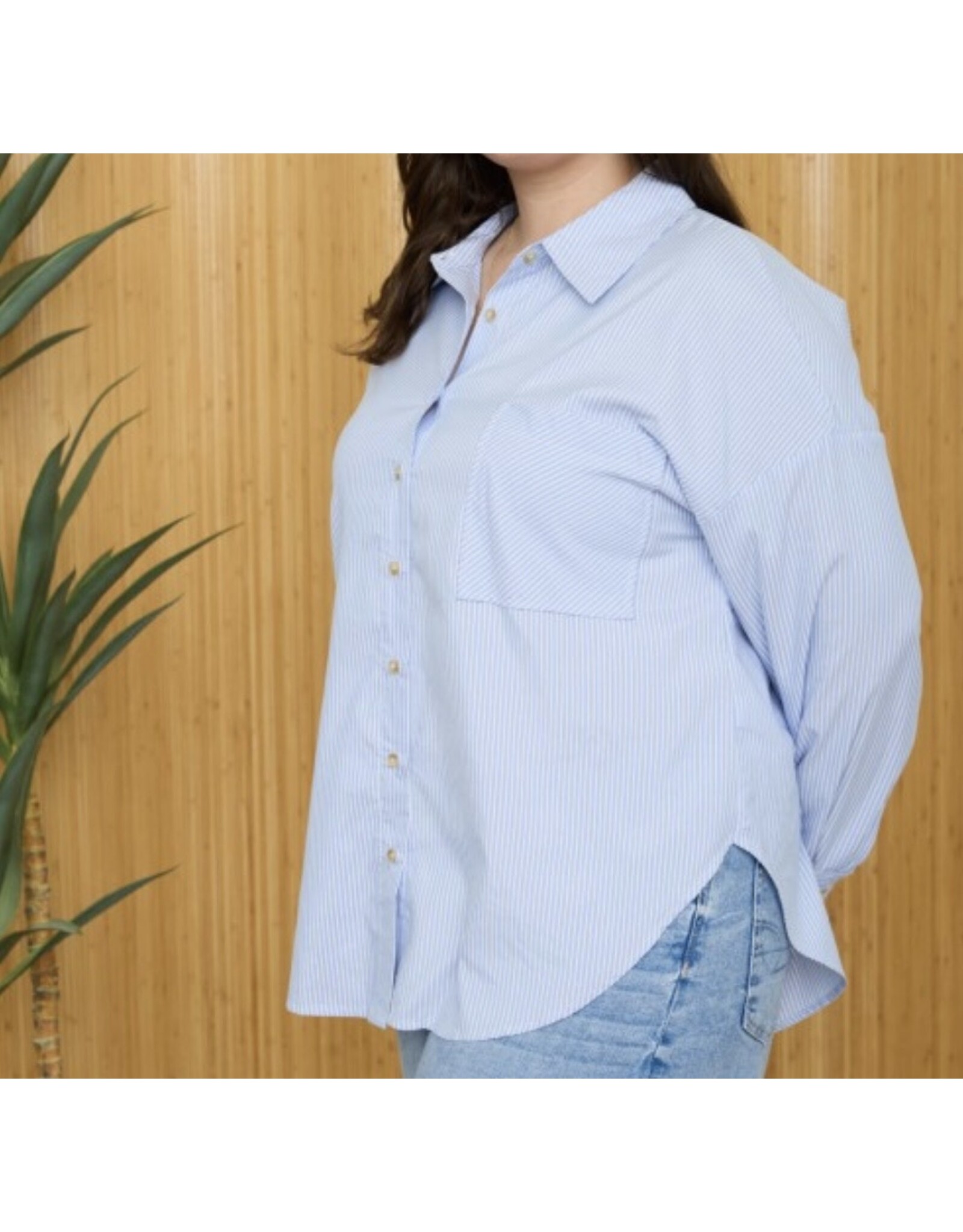 Plus Stripe Long Slv Collared Shirt