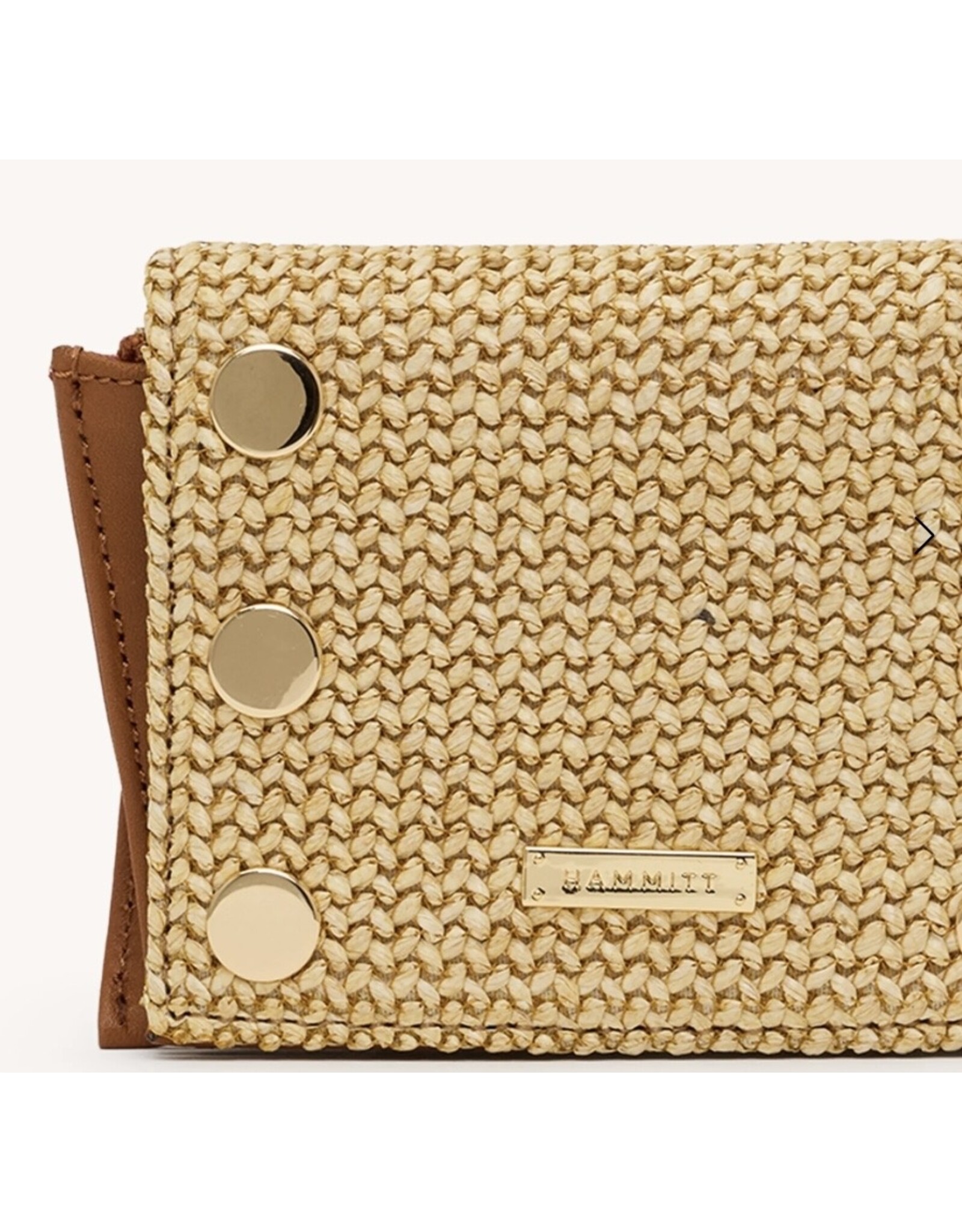 Hammitt Allen wallet