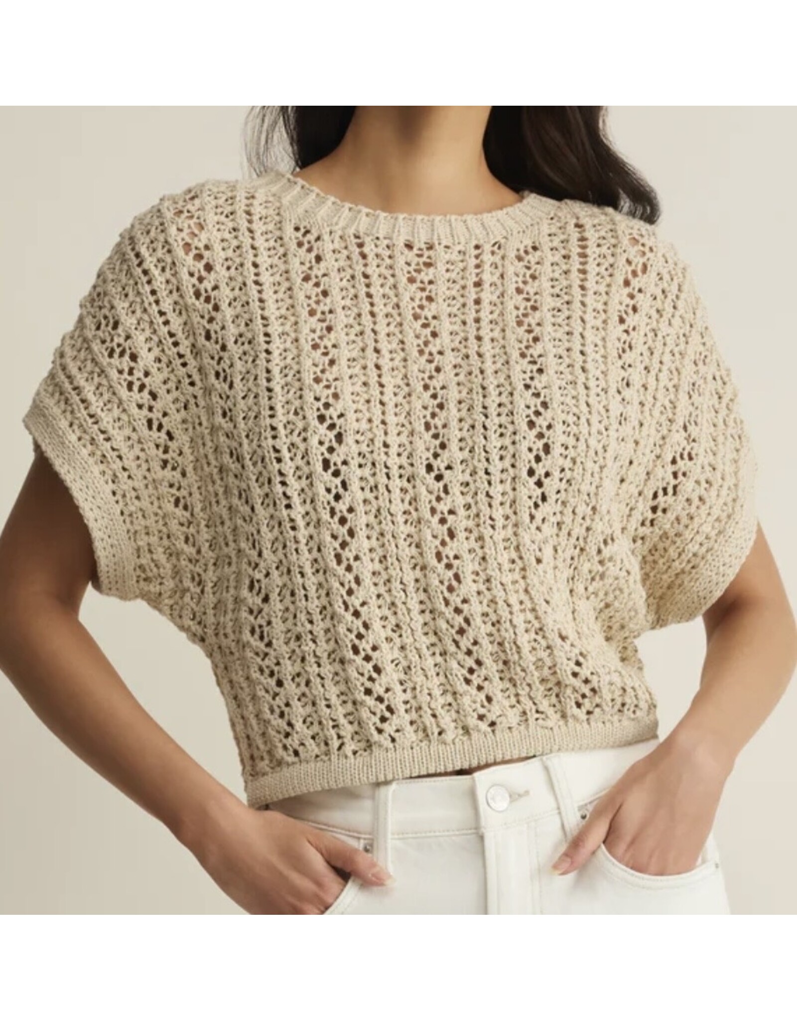 ZSupply Ballast Crochet Top