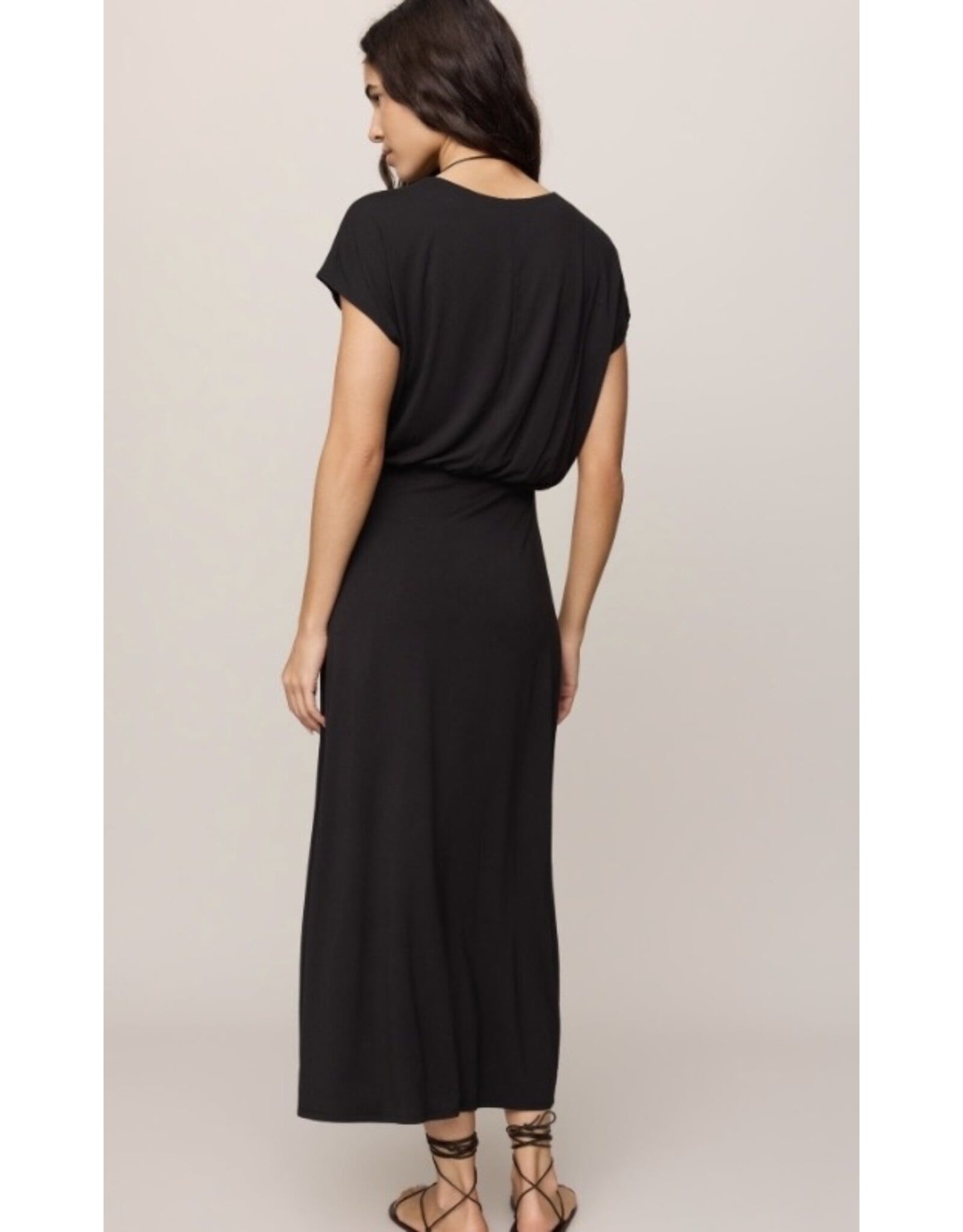 ZSupply ZSupply Anika Midi Dress