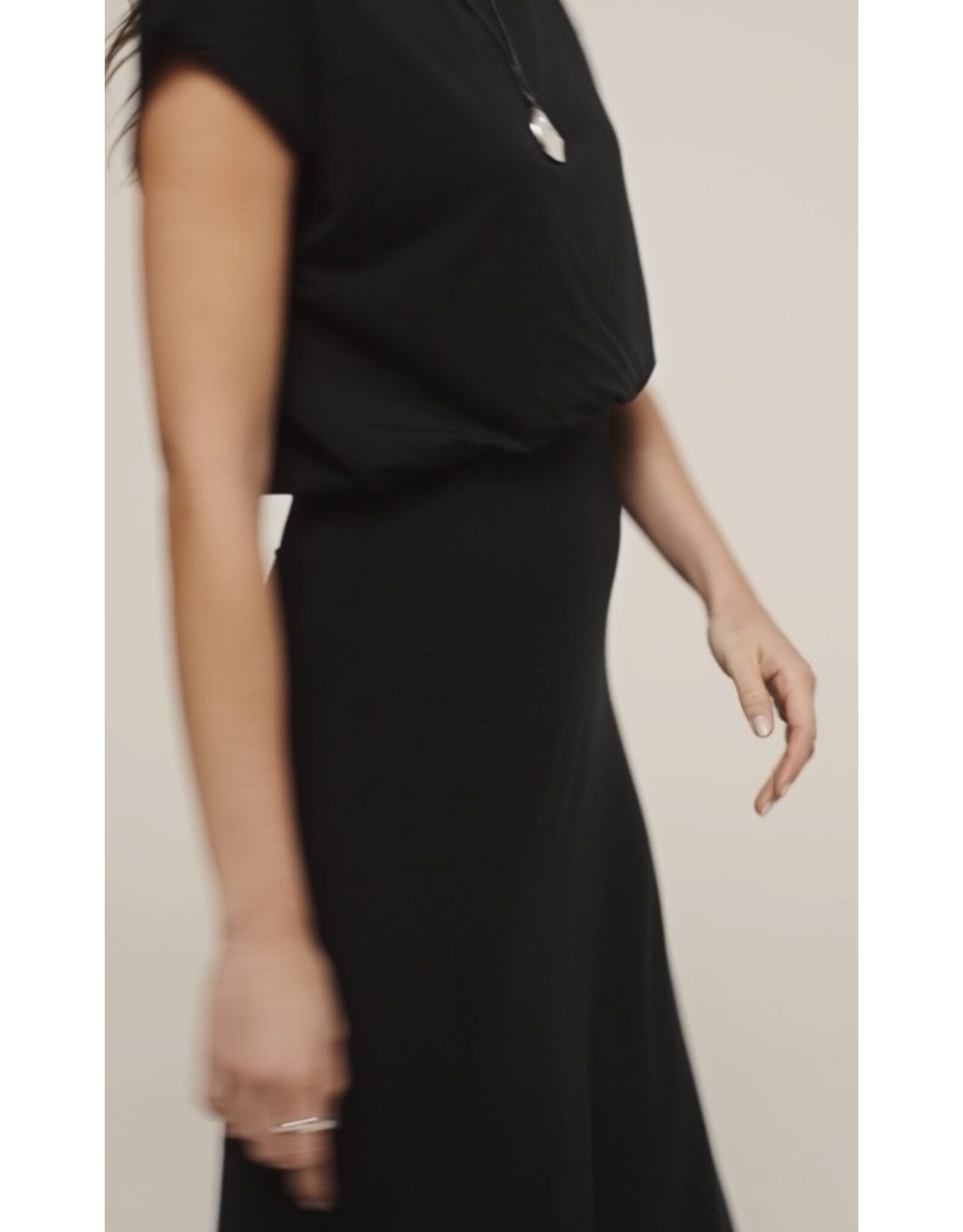 ZSupply ZSupply Anika Midi Dress