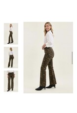 Judy Blue JB HW Bootcut Leopard Jeans