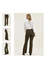 Judy Blue JB HW Bootcut Leopard Jeans