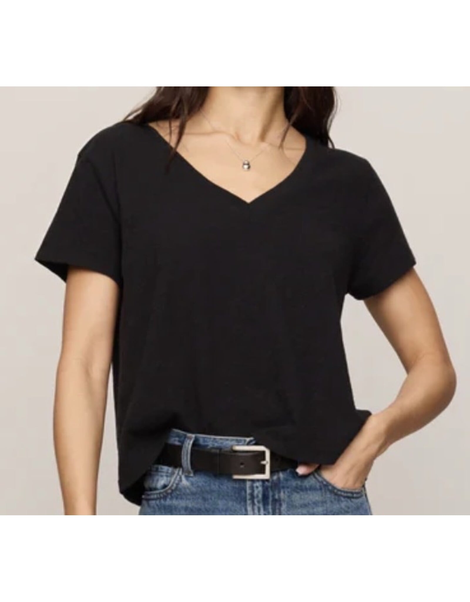ZSupply ZSupply Nomad V Neck Tee