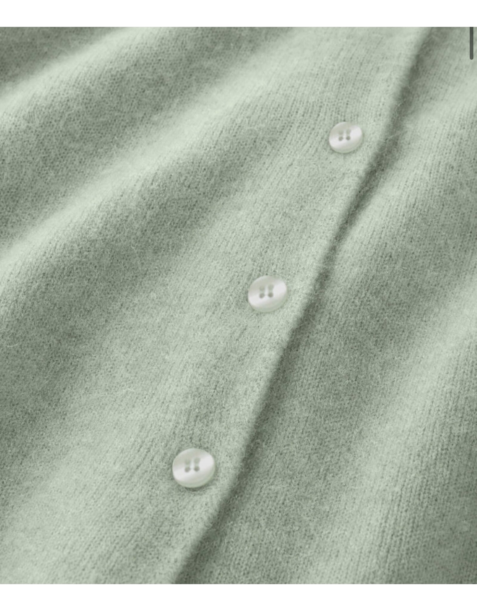 ZSupply ZSupply Medina Pointelle Cardigan