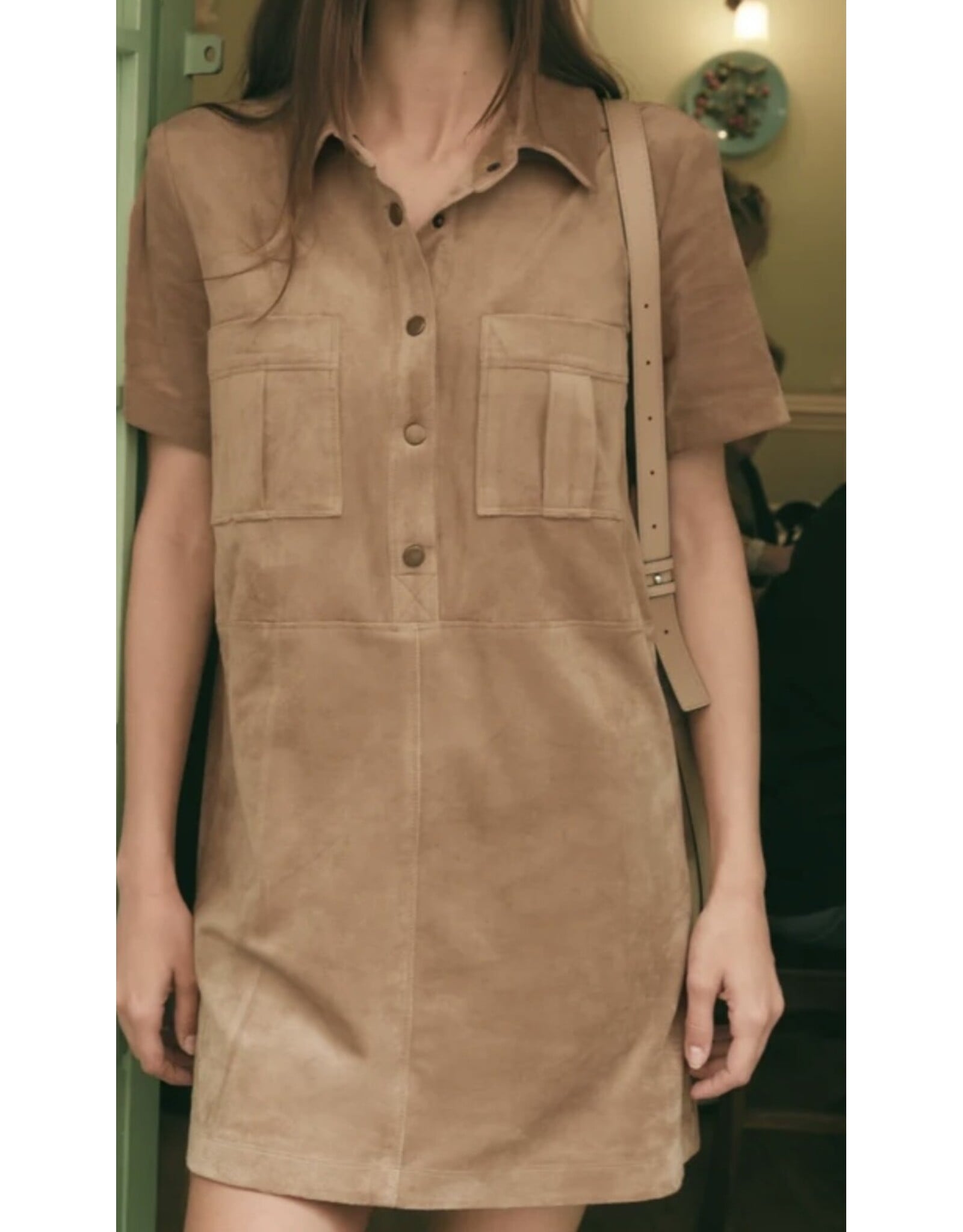 ZSupply ZSupply Leone Suede Mini Dress