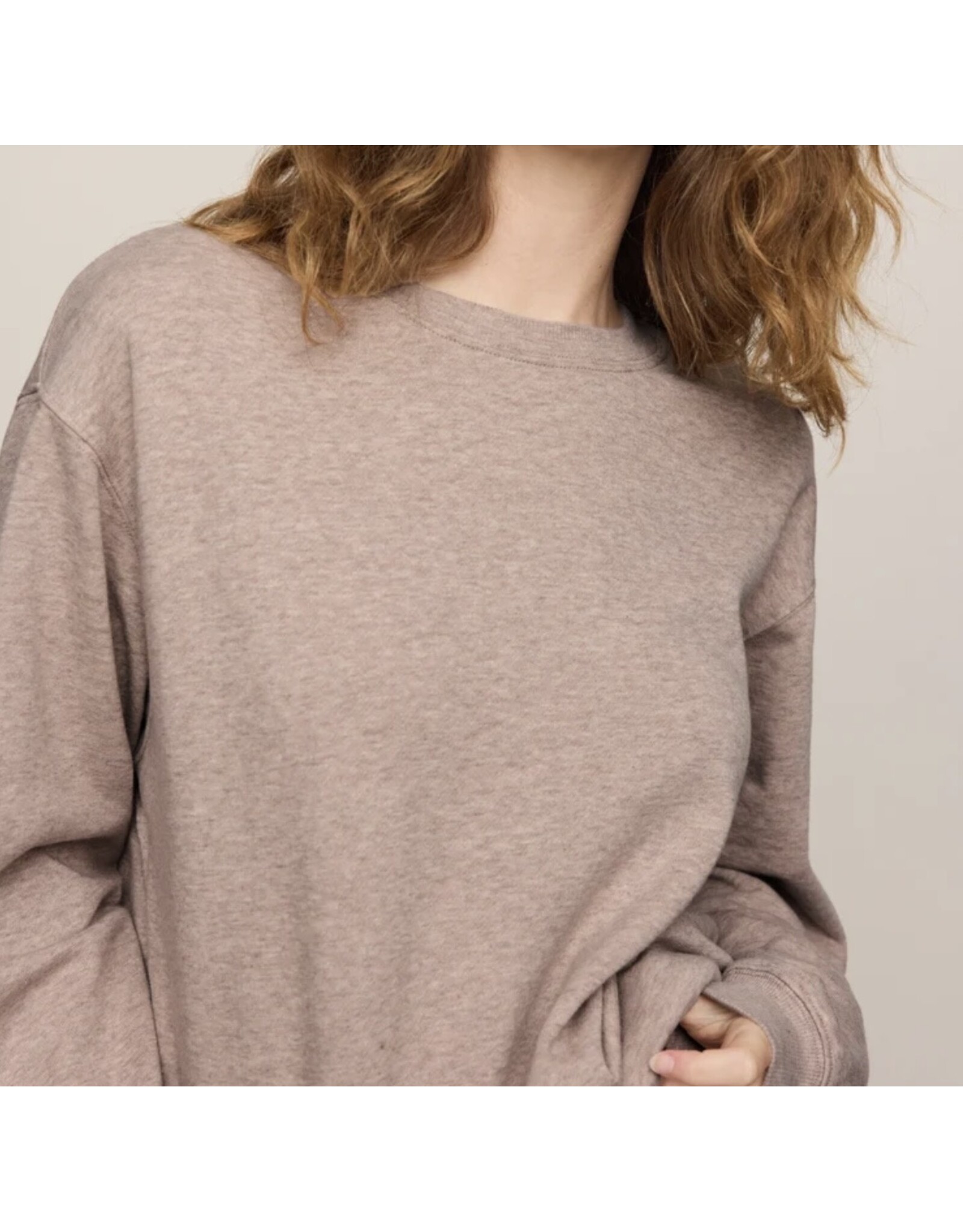 ZSupply ZSupply Boyfriend Sweatshirt