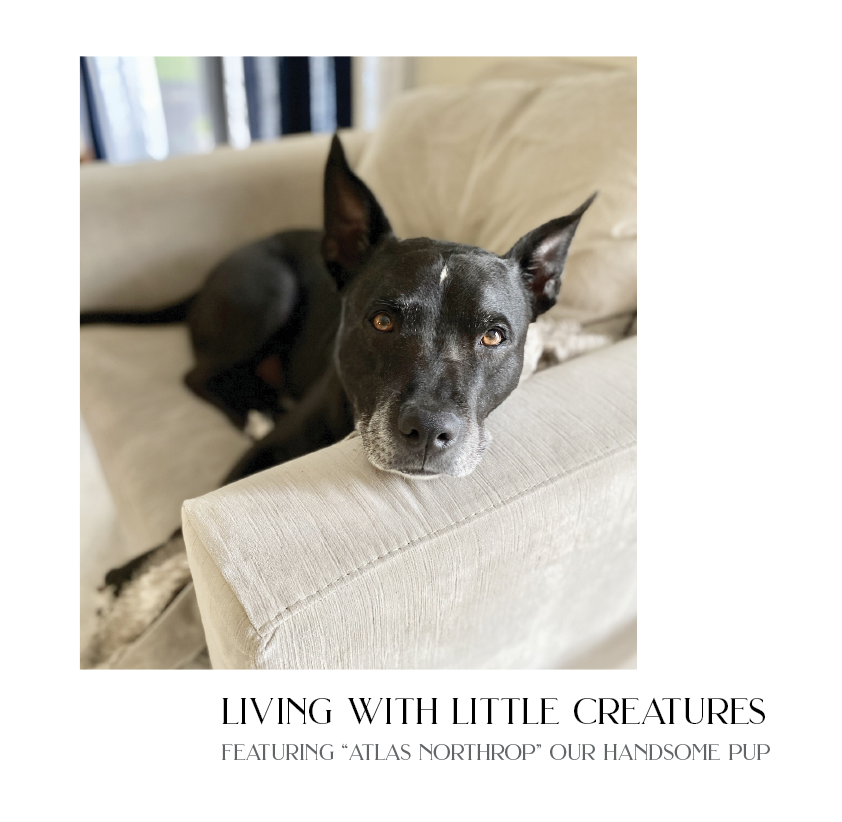 { the 2nd } Living with little creatures