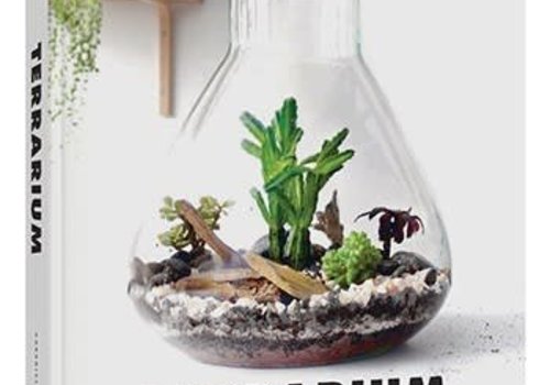 Terrarium - 33 Glass Gardens to Make Your Own