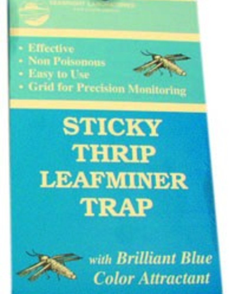 Seabright Laboratories Seabright Sticky Thrip/Leafminer Trap, 5 pack