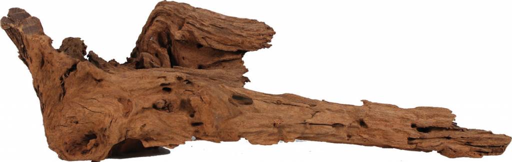 malaysian driftwood lrg pawtopia