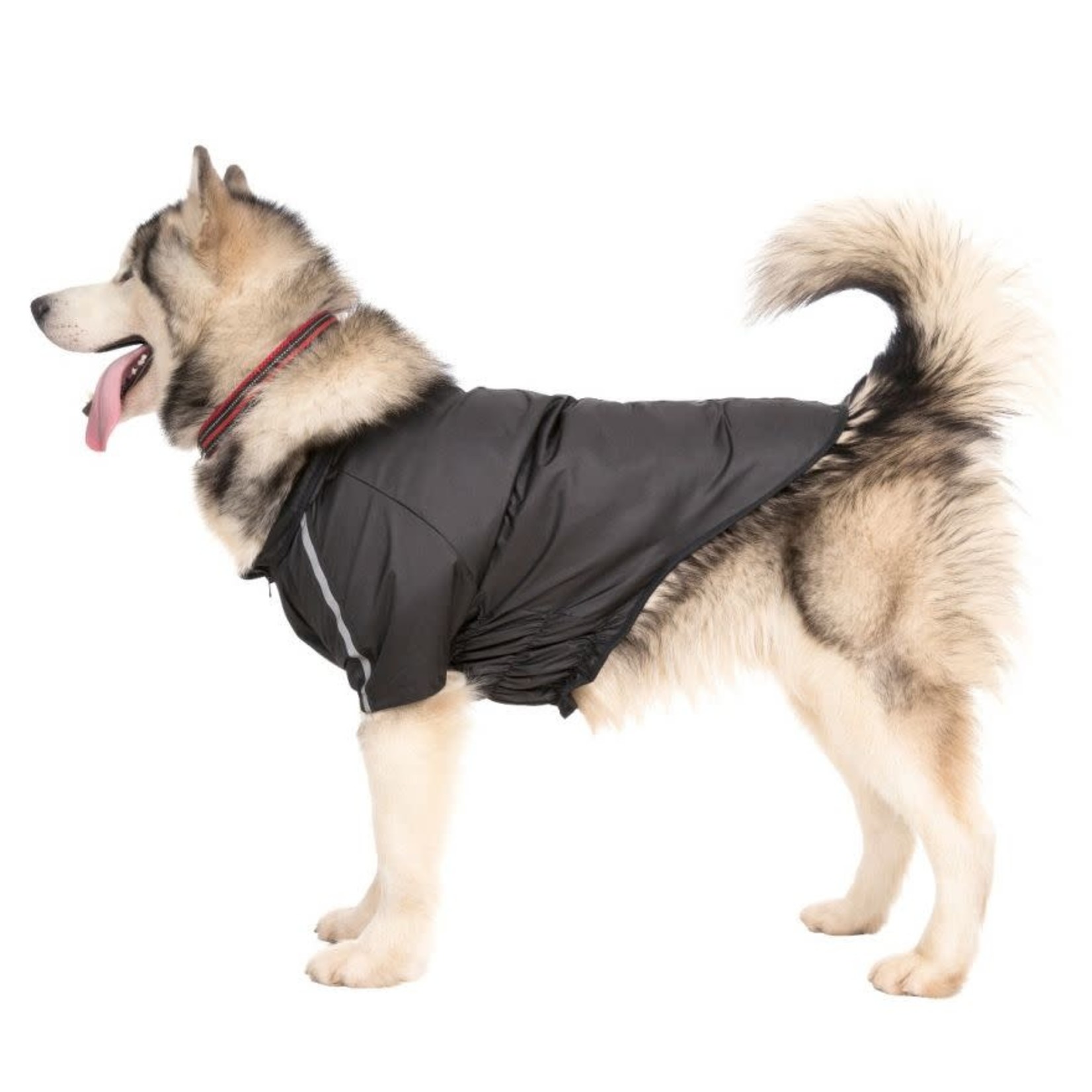 Trespass, Trespaws, Qikpac, Khaos, Dog Jacket, L