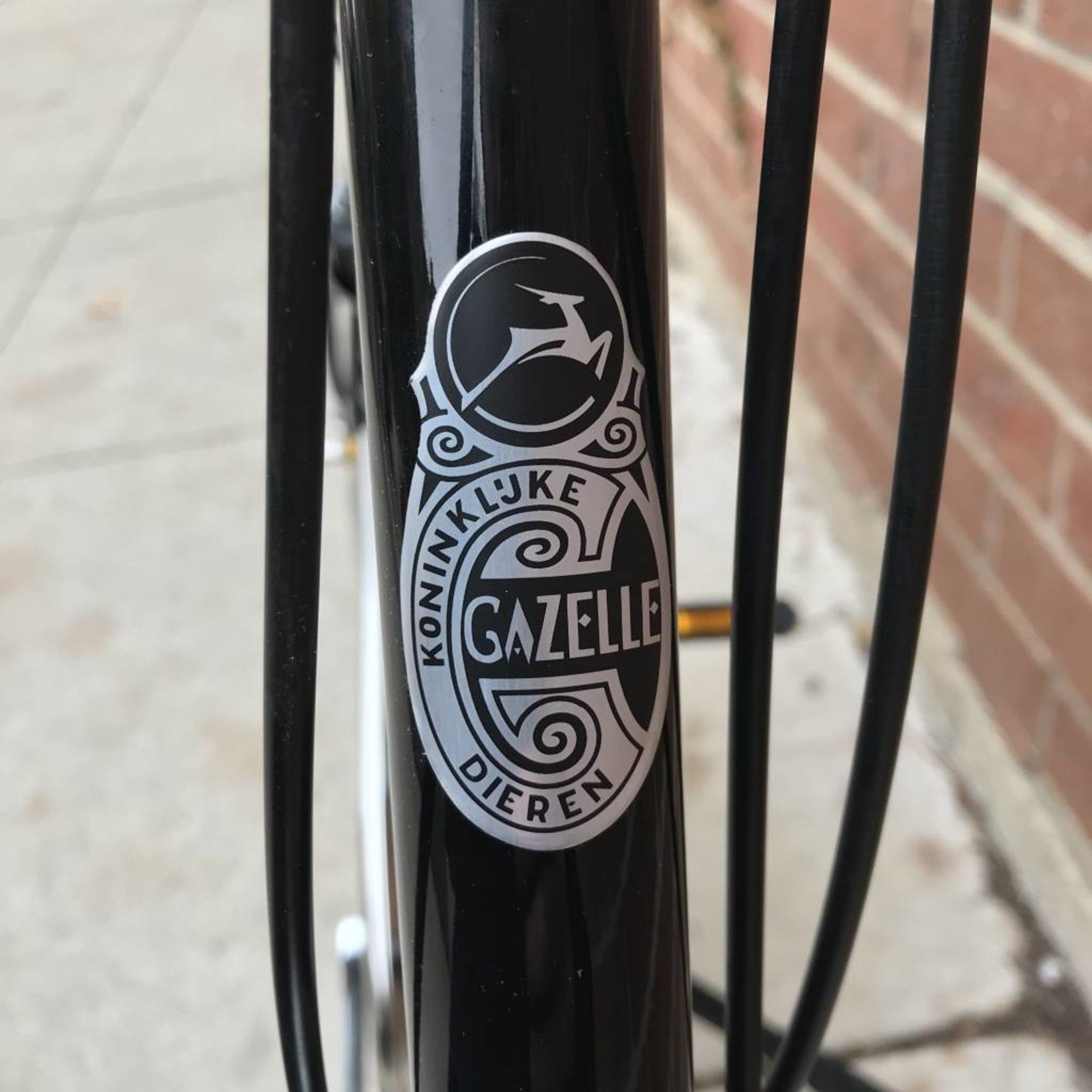 B.C. Medewerker bevind zich Gazelle Tour Populair Step Through - J.C. Lind Bike Co.