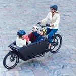 Electric Cargo Bikes