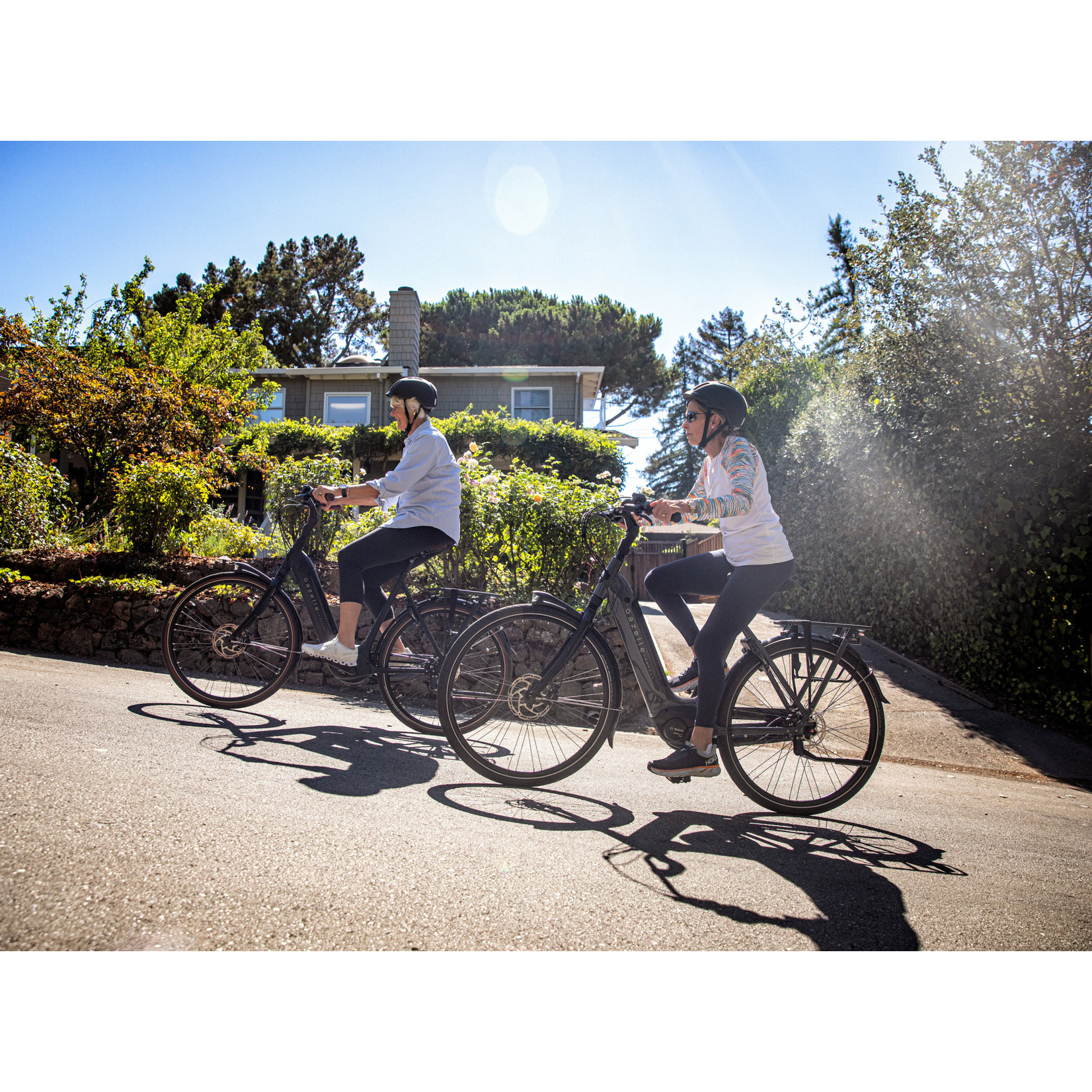 Gazelle Gazelle Arroyo C8 Elite System 2