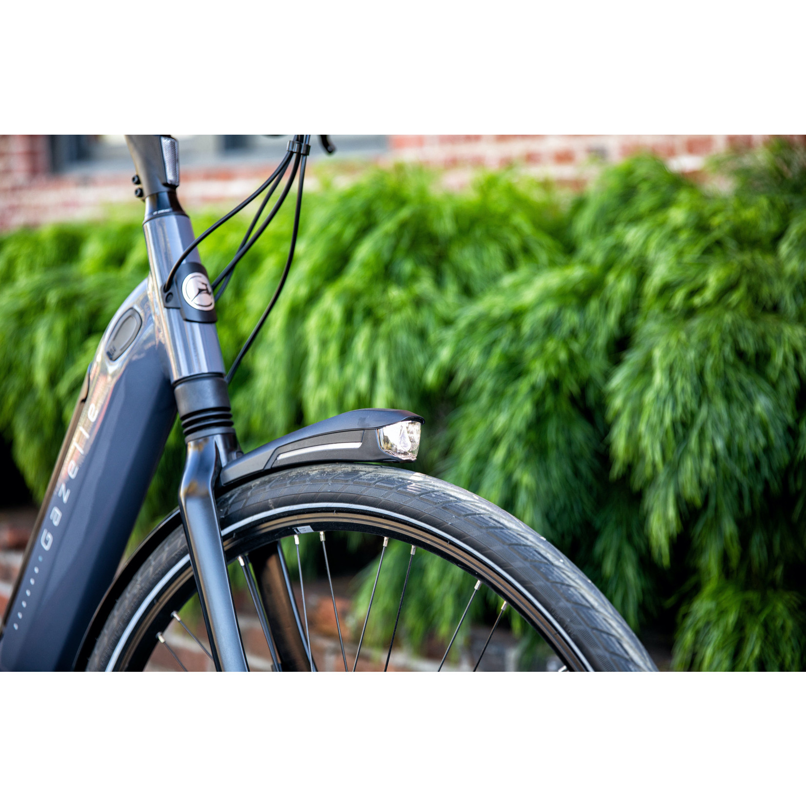 Gazelle Gazelle Arroyo C8 Elite System 2