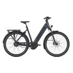 Gazelle Gazelle Ultimate C380+ Low-Step