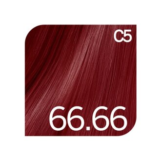 Revlonissimo 66.66 - Intense Purple Red / Revlonissimo Permanent Hair Color Reds (60ml/2.0oz)