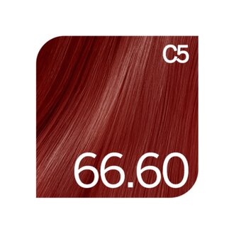 Revlonissimo 66.60 - Intense Red / Revlonissimo Permanent Hair Color Reds (60ml/2.0oz)