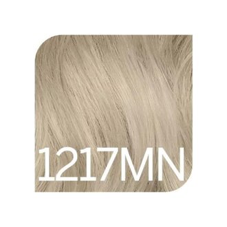 Revlonissimo 1217MN - Bronze Grey Intense Blonde / Revlonissimo Permanent Hair Color Cools (60ml/2.0oz)