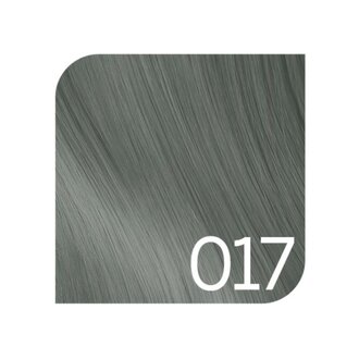 Revlonissimo 017 - Bronze Grey / Revlonissimo Colorsmetique Pure Colors Mixing Shades Permanent Hair Color (60ml/2.0oz)