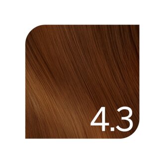 Revlonissimo 4.3 - Medium Golden Brown / Revlonissimo Colorsmetique Permanent Hair Gel Color (60ml/2.0oz)