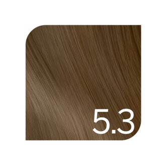 Revlonissimo 5.3 - Light Golden Brown / Revlonissimo Colorsmetique Creme Gel Color (60ml/2.0oz)