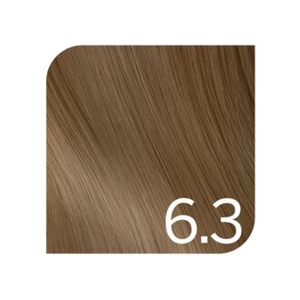 Revlonissimo 6.3 - Dark Golden Blond / Revlonissimo Colorsmetique Creme Gel Color (60ml/2.0oz)