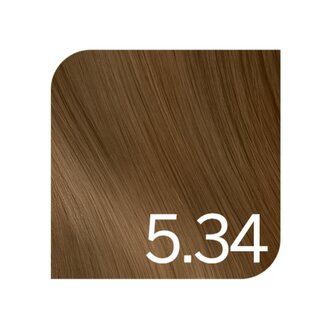 Revlonissimo 5.34 - Light Coppery Gold Brown / Revlonissimo Colorsmetique Creme Gel Color (60ml/2.0oz)