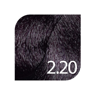 HueSee 2.20/2Vn - Very Dark Brown Violet Natural / Color Cream Permanent Hair Color (100ml/3.38oz)