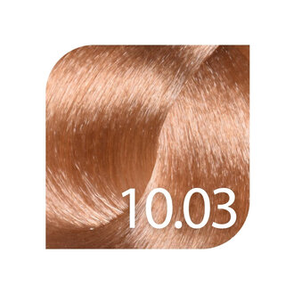 HueSee 10.03/10Ng - Very Light Blonde Natural Gold / Color Cream Permanent Hair Color (100ml/3.38oz)