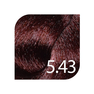 HueSee 5.43/5Cg - Light Brown Copper Gold / Color Cream Permanent Hair Color (100ml/3.38oz)
