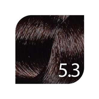 HueSee 5.3/5G - Light Brown Gold / Color Cream Permanent Hair Color (100ml/3.38oz)