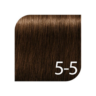 Schwarzkopf Igora Royal Professional 5-5 - Light Brown Gold / Igora Royal Permanent Hair color (60ml/2.0oz)