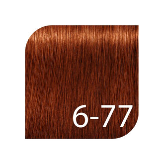 Schwarzkopf Igora Royal Professional 6-77 - Dark Blonde Copper Extra / Coloration crème permanente "Igora Royal" (60ml/2.0oz) Schwarzkopf Igora Royal Professional 6-77 - Dark Blonde Copper Extra / Coloration crème permanente "Igora Royal" (60ml/2.0oz)