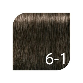 Schwarzkopf Igora Royal Professional 6-1 - Dark Blonde Cendre / Igora Royal Permanent Hair color (60ml/2.0oz)