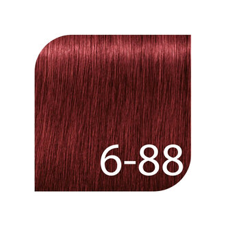 Schwarzkopf Igora Royal Professional 6-88 - Dark Blonde Red Extra / Igora Royal Permanent Hair color (60ml/2.0oz)