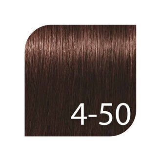 Schwarzkopf Igora Royal Professional 4-50 - Medium Brown Gold Natural / Igora Absolutes Permanent Hair color (60ml/2.1oz)