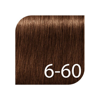 Schwarzkopf Igora Royal Professional 6-60 - Blond Foncé Chocolat Naturel / Coloration permanente "Igora Royal Absolutes" (60ml/2.0oz)