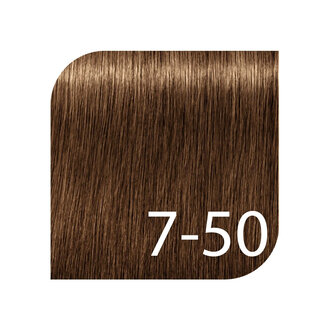 Schwarzkopf Igora Royal Professional 7-50 - Medium Blonde Gold Natural / Igora Absolutes Permanent Hair color (60ml/2.0oz)