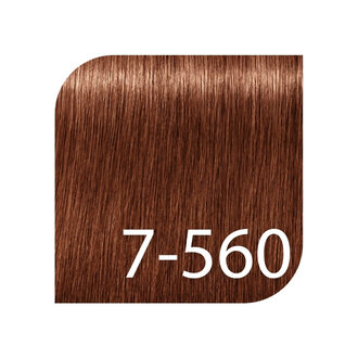 Schwarzkopf Igora Royal Professional 7-560 - Blond moyen doré chocolat / Coloration permanente "Igora Royal Absolutes Age Blend" (60ml/2.0oz) Schwarzkopf Igora Royal Professional 7-560 - Blond moyen doré chocolat / Coloration permanente "Igora Royal Absolutes Age Blend" (60ml/2.0oz)