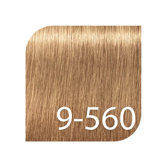 Schwarzkopf Igora Royal Professional 9-560 - Extra Light Blonde Gold Chocolate / Igora Absolutes Age Blend Permanent Hair color (60ml/2.0oz)
