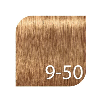 Schwarzkopf Igora Royal Professional 9-50 - Extra Light Blonde Gold Natural / Igora Absolutes Permanent Hair color (60ml/2.0oz)