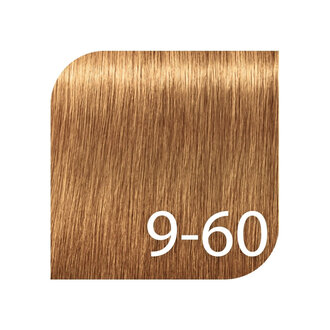 Schwarzkopf Igora Royal Professional 9-60 - Extra Light Blonde Chocolate Natural / Igora Absolutes Permanent Hair color (60ml/2.0oz)