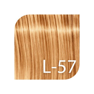 Schwarzkopf Igora Royal Professional L-57 - Gold Copper / Igora Royal Fashion Lights Hightlight Permanent Hair Color (60ml/2.0oz)