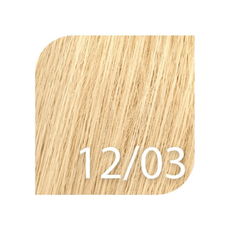 Wella Koleston Perfect 12/03 - Special Blonde Natural Gold / Koleston Perfect Me+ Special Blonde Permanent Hair Color (57g/2.0oz)