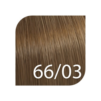 Wella Color Touch 66/03 - Intense Dark Blonde/Natural Gold / Color Touch Plus Demi-Permanent Hair Color (57g/2.0oz)