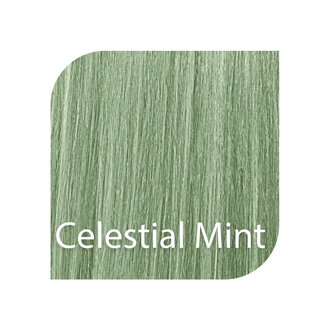 CHI Tone & Gloss Celestial Mint / Coloration demi-permanente "Tone & Gloss" (85g/3.0oz)