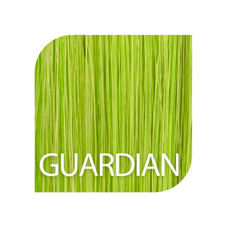 PulpRiot Guardian / Coloration semi-permanente "Fantasy Collection" (118ml/4.0oz) PulpRiot Guardian / Coloration semi-permanente "Fantasy Collection" (118ml/4.0oz)